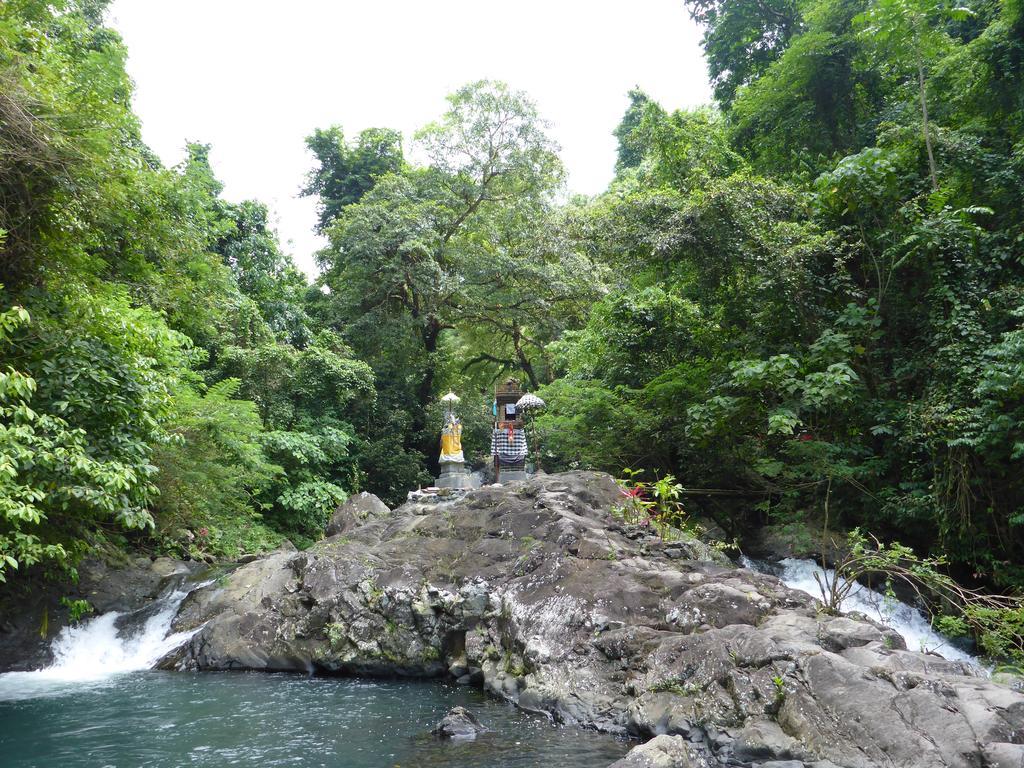 Gunung Paradis Retreat Munduk  Exterior photo