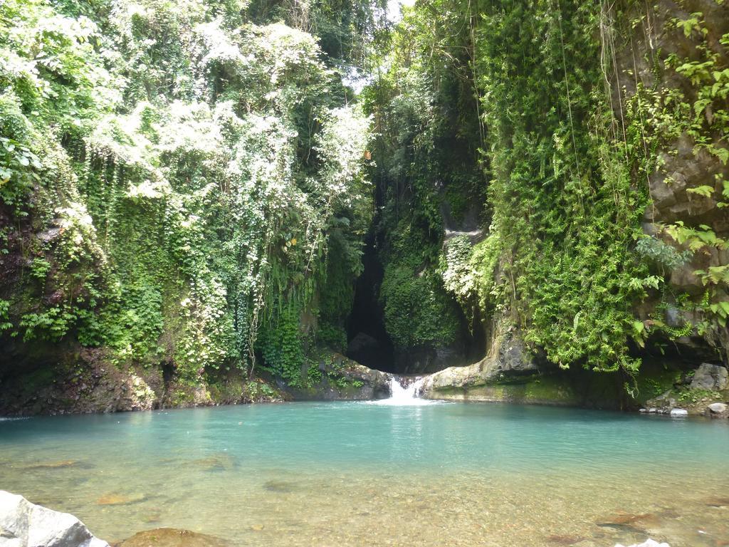 Gunung Paradis Retreat Munduk  Exterior photo